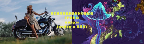 стафф Арсеньев