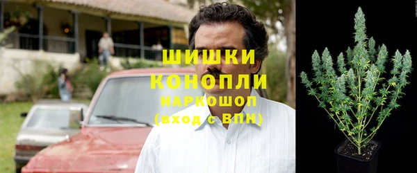 амф Аркадак