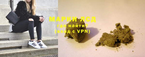 стафф Арсеньев