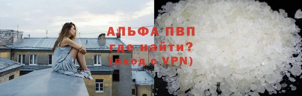 стафф Арсеньев
