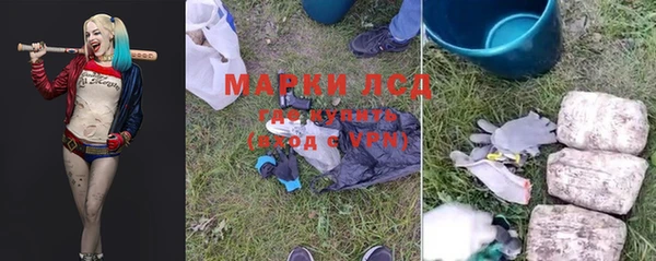 стафф Арсеньев